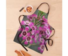 Purple Geraldton Wax Arbuste australien indigène Tablier