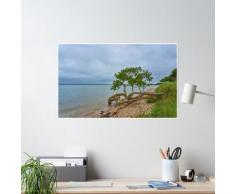 Arbre sur la plage. Poster