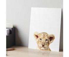 Bébé Lion, Nursery, Animal, Chambre d'enfant, Art moderne, Décoration murale Impression rigide