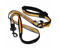 Kurgo Laisse réfléchissante 6 en 1 pour chien Quantum Noir et orange