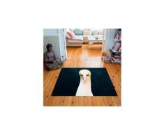 Tapis carré velours antidérapant imprimé animaux northern gannet - 135 x 135 cm
