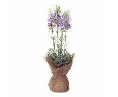 Plante décorative 119596 (37 cm) - Plantes artificielles