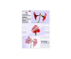 Olympia 1x100 din a6 125 micron (9178) - Destructeur papier