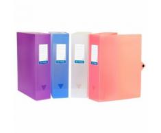 Viquel Lot de 6 boites de classement et archive grande capacité - Dos de 80 mm Multicolore - Boite de rangement