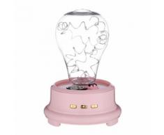 Lampe de Bouteille Led Préservée Fleur En Verre Dôme, Haut-Parleur Bluetooth Veilleuse BT1485 - Enceinte sans fil