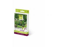 Prairies fleuries : carré potager j'attire les auxiliaires 3 m2 - Plantes, graines et bulbes