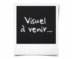 vidaXL Lit surélevé de jardin avec serre 120x54x120 cm Bois de sapin - Jardinières et bacs