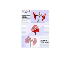 Olympia 1x100 din a6 80 micron (9168) - Destructeur papier