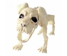 Halloween Hyène Props Animal Bones Party Shop Décoration Horreur BT327 - Autre jeu d'imitation