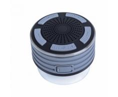 Haut-Parleurs Portables Bluetooth Sans Fil Avec Radio Douche Haut-Parleur Ipx7 Ventouse BT248 - Enceinte sans fil