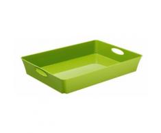 Rotho 1112405519 Boîte Living C4 Plastique Vert 45 x 35 x 25 cm - Rangement de l'atelier