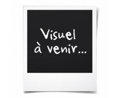 vidaXL Cabine de douche pivotante-pliante ESG 120x68x130 cm - Installations salles de bain