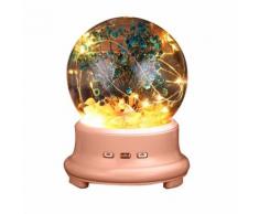 Lampe de Bouteille Led Préservée Fleur En Verre Dôme, Haut-Parleur Bluetooth Veilleuse BT1199 - Enceinte sans fil