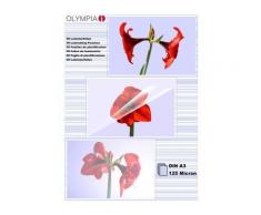 Olympia 1x50 din a3 125 micron (9175) - Destructeur papier