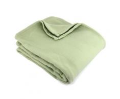 Couverture polaire 220x240 cm 100% Polyester 350 g/m2 TEDDY Vert Tilleul - Linge de lit
