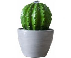 Zen Light - Fontaine d'intérieur éclairage LED Cactus - Objet à poser