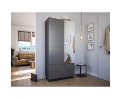 Meuble à chaussures Castello-L 1 porte miroir tiroirs pour 30 paires Cendre