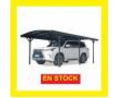 Bouvara Grand carport pour gros véhicule 5,76x3m