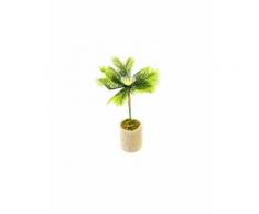 Palmier dans son pot jute 18 x 6 cm Taille Unique