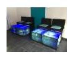 Fish and Spa Fishpedicure de 20 minutes pour 1, 2 ou 3 personnes à l'institut Fish and Spa