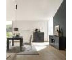 NOUVOMEUBLE Salle à manger buffet 2 portes 2 tiroirs gris laqué design ELMA 2