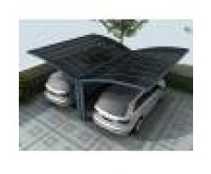 Carport Papillon 2 voitures 5x6m gris anthracite