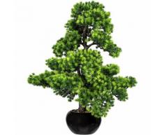 Bonsaï de mélèze avec gravier dans un pot en céramique noir