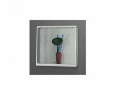 Vitrine murale largeur 1000 mm, sans éclairage h x p 984 x 300 mm