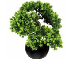 Bonsaï de mélèze avec gravier dans un pot en céramique noir