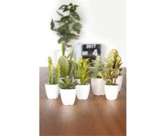 Present Time PT2884AS - Plante artificielle