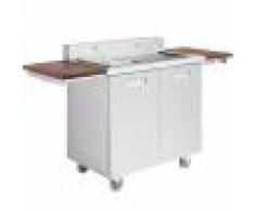 Greaden Barbecue électrique d'extérieur en acier inox