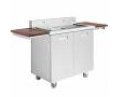 Greaden Barbecue électrique d'extérieur en acier inox