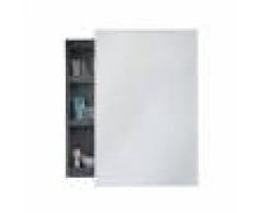 HORM miroir mural de rangement BACKSTAGE (H 96 cm - verre et fer laqué noir)
