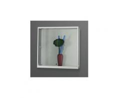 Vitrine murale largeur 1000 mm, sans éclairage h x p 984 x 300 mm