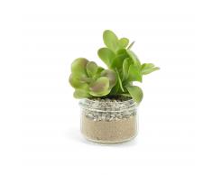 Succulente portulacaceae artificielle Zelena