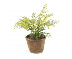 Plante fougère capillaire artificielle Zelena