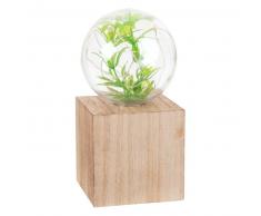 Déco lumineuse terrarium à LED