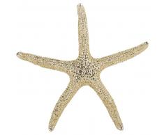Statuette étoile de mer L11