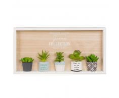 Tableau avec plantes grasses artificielles 46x23