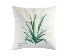 Coussin imprim&eacute; cactus 45x45