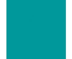 Oreillers et matelas de santé Elsa - Housse de rechange De Luxe 70/11 cm turquoise