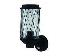 Ledvance Outdoor Applique murale et plafonnier en aluminium Noir