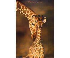1art1 Girafes Poster - lamour dune Mère (91 x 61 cm)