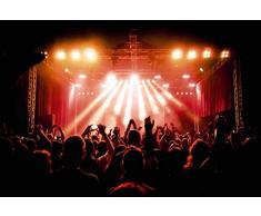 Tapisserie poster panoramique CONCERT 4 x 2,70 m | DÃ©co et photo murale XXL QualitÃ© HD Scenolia