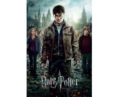 Empire 398352 Poster Harry Potter et Les Reliques de la Mort 61 x 91,5 cm