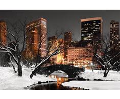 Scenolia Tableau Verre Acrylique déco & Design Central Park Lights 70 x 50 cm | Déco Murale Qualité HD