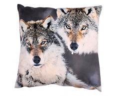 Soleil docre Coussin DÃ©co DÃ©houssable, Polyester, Multicolore, 45 x 45 cm