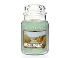 Yankee Candle Bougie Balade sur la côte, Petite Jarre, Verre, Vert