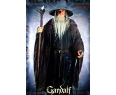 Empire Merchandising 14849 Poster Motif Le seigneur des anneaux Gandalf 61 x 91,5 cm