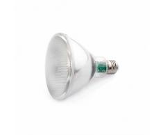 Faro Barcelona 17400 ampoule E27 PAR38 LED 10W 4000K 850Lm